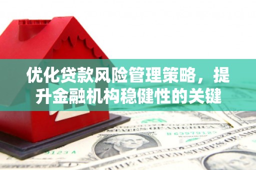 全国优化贷款风险管理策略，提升金融机构稳健性的关键
