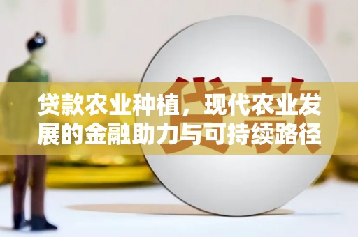 全国贷款农业种植，现代农业发展的金融助力与可持续路径