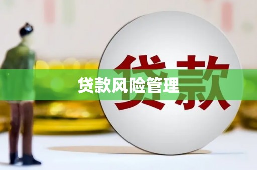 全国贷款风险管理