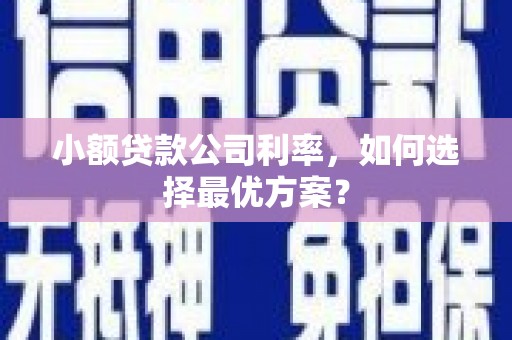 全国小额贷款公司利率，如何选择最优方案？