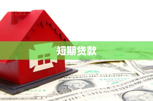 全国短期贷款