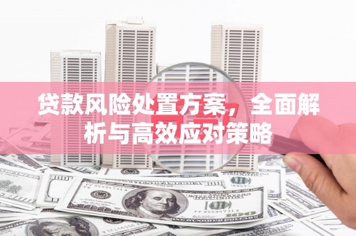 全国贷款风险处置方案，全面解析与高效应对策略