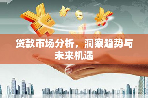 全国贷款市场分析，洞察趋势与未来机遇