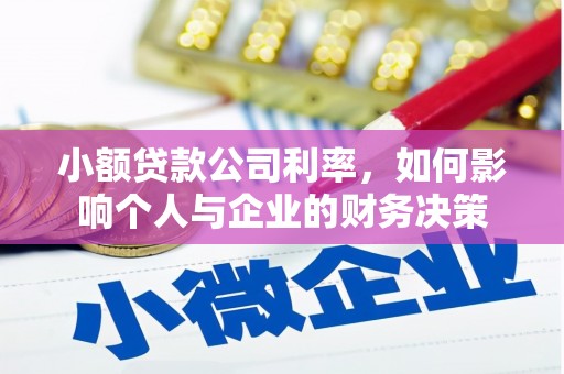 全国小额贷款公司利率，如何影响个人与企业的财务决策