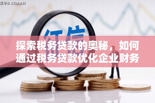 全国探索税务贷款的奥秘，如何通过税务贷款优化企业财务