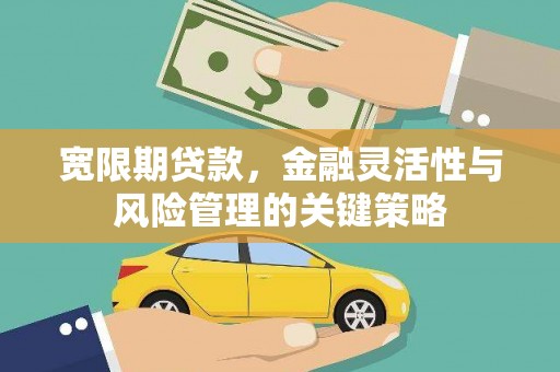 全国宽限期贷款，金融灵活性与风险管理的关键策略