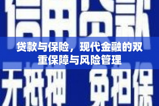 全国贷款与保险，现代金融的双重保障与风险管理