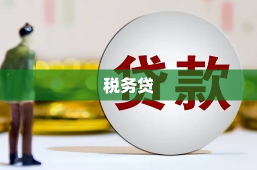 全国税务贷