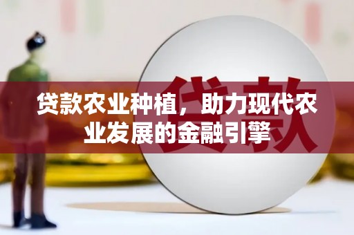 全国贷款农业种植，助力现代农业发展的金融引擎
