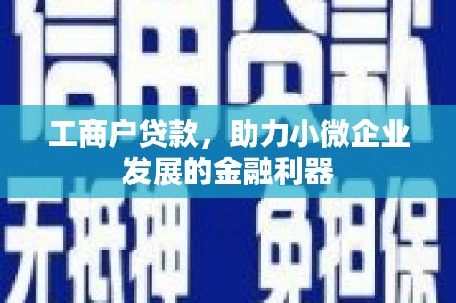 全国工商户贷款，助力小微企业发展的金融利器