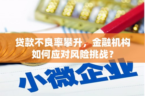 全国贷款不良率攀升，金融机构如何应对风险挑战？