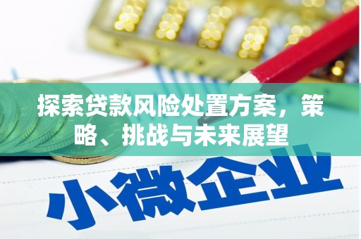 全国探索贷款风险处置方案，策略、挑战与未来展望