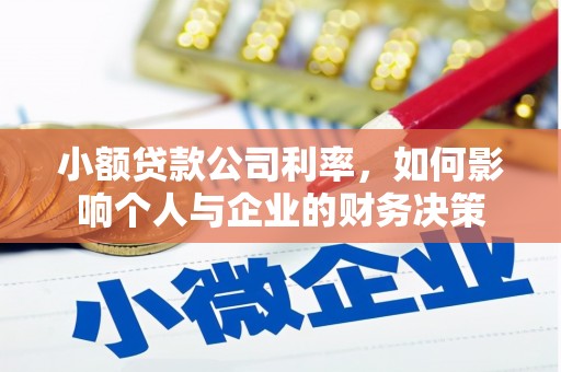 全国小额贷款公司利率，如何影响个人与企业的财务决策