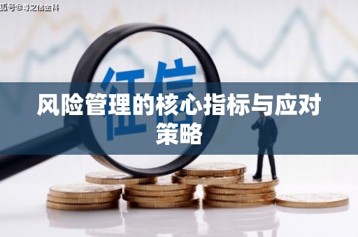 全国风险管理的核心指标与应对策略