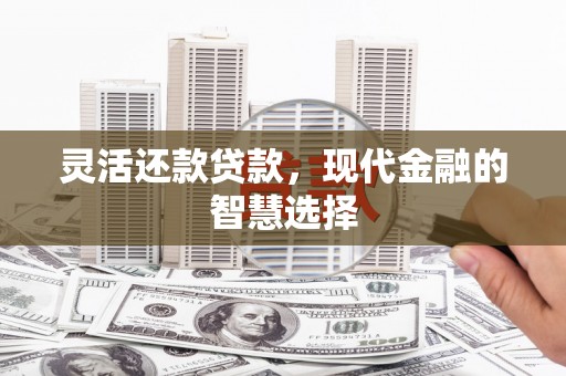 全国灵活还款贷款，现代金融的智慧选择