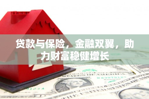 全国贷款与保险，金融双翼，助力财富稳健增长