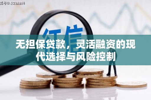 全国无担保贷款，灵活融资的现代选择与风险控制