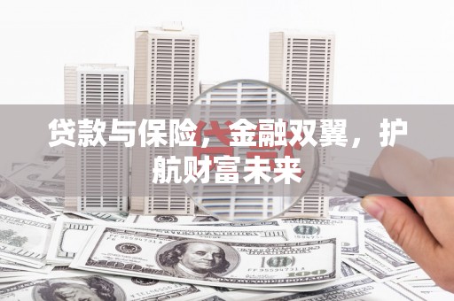 全国贷款与保险，金融双翼，护航财富未来