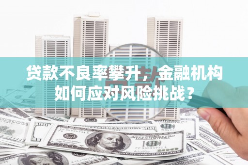全国贷款不良率攀升，金融机构如何应对风险挑战？