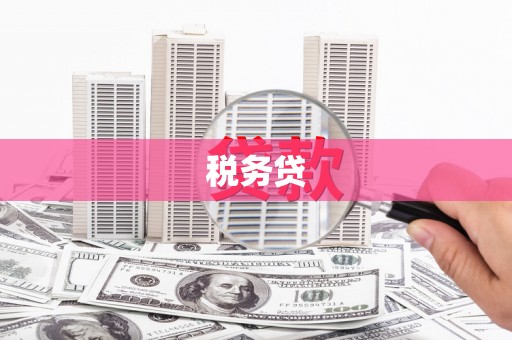全国税务贷