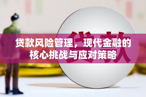 全国贷款风险管理，现代金融的核心挑战与应对策略