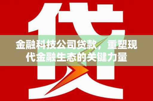 全国金融科技公司贷款，重塑现代金融生态的关键力量