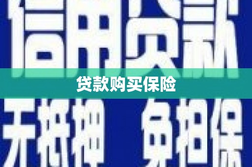 全国贷款购买保险