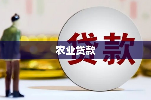 全国农业贷款