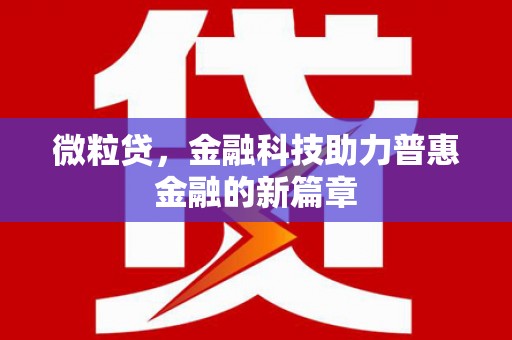 全国微粒贷，金融科技助力普惠金融的新篇章