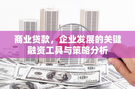 全国商业贷款，企业发展的关键融资工具与策略分析