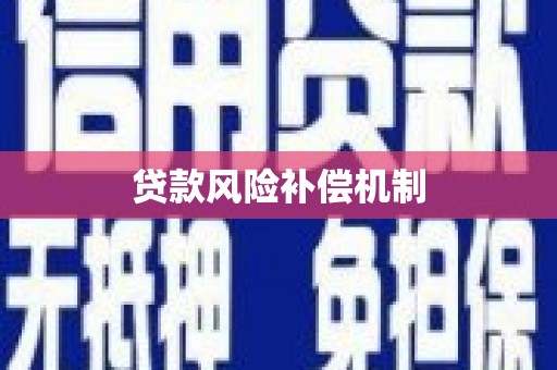 全国贷款风险补偿机制