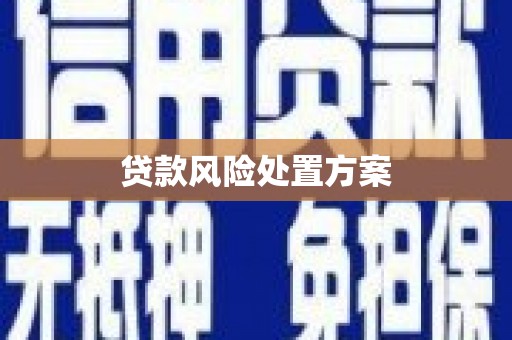 全国贷款风险处置方案