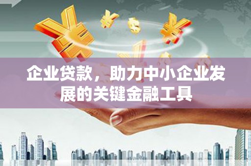 全国企业贷款，助力中小企业发展的关键金融工具