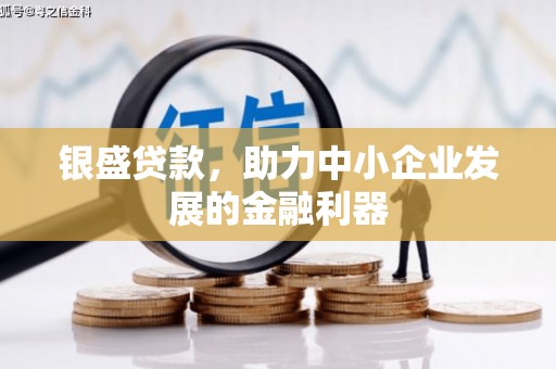 全国银盛贷款，助力中小企业发展的金融利器