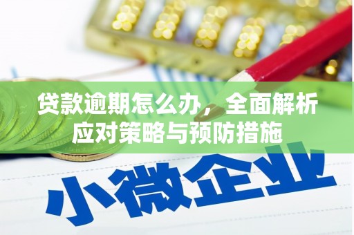 全国贷款逾期怎么办，全面解析应对策略与预防措施