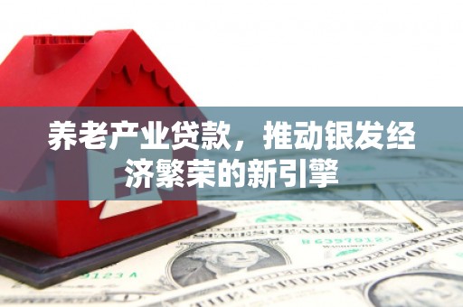 全国养老产业贷款，推动银发经济繁荣的新引擎