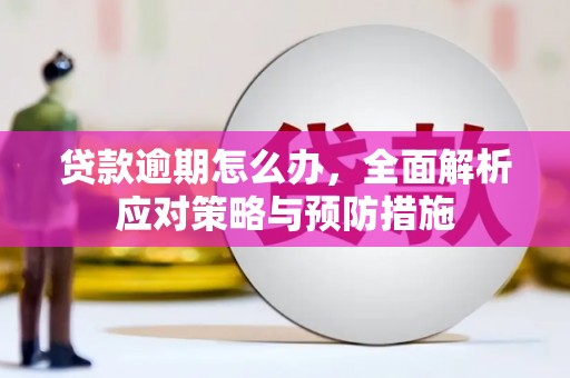 全国贷款逾期怎么办，全面解析应对策略与预防措施