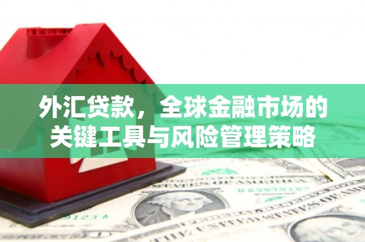 全国外汇贷款，全球金融市场的关键工具与风险管理策略