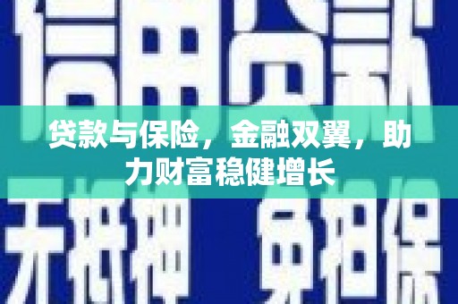 全国贷款与保险，金融双翼，助力财富稳健增长