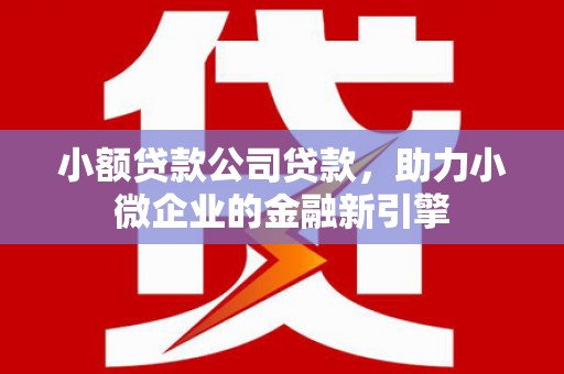 全国小额贷款公司贷款，助力小微企业的金融新引擎