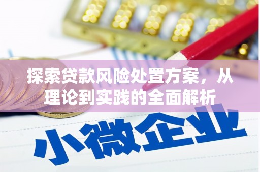 全国探索贷款风险处置方案，从理论到实践的全面解析