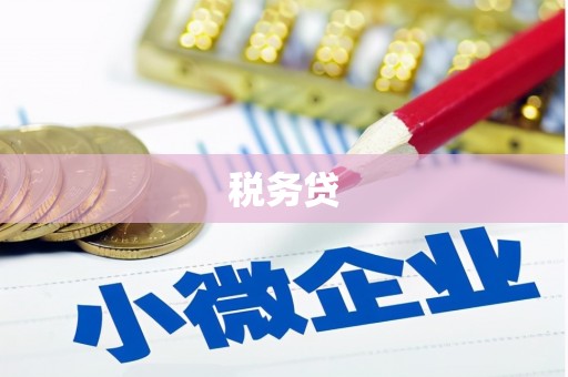 全国税务贷