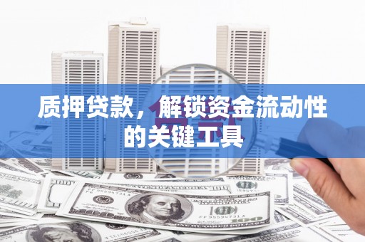 全国质押贷款，解锁资金流动性的关键工具