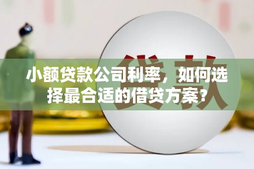 全国小额贷款公司利率，如何选择最合适的借贷方案？