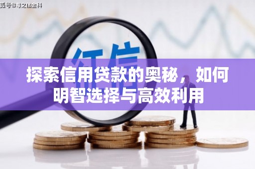 全国探索信用贷款的奥秘，如何明智选择与高效利用