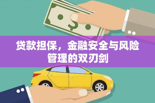 全国贷款担保，金融安全与风险管理的双刃剑