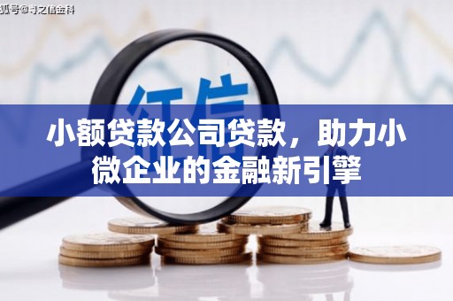 全国小额贷款公司贷款，助力小微企业的金融新引擎