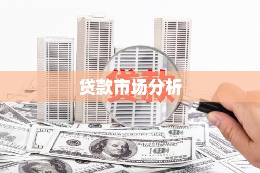 全国贷款市场分析