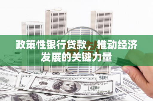 全国政策性银行贷款，推动经济发展的关键力量