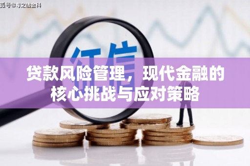 全国贷款风险管理，现代金融的核心挑战与应对策略